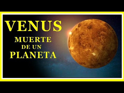 Video: ¿Podría haber fósiles en Venus?