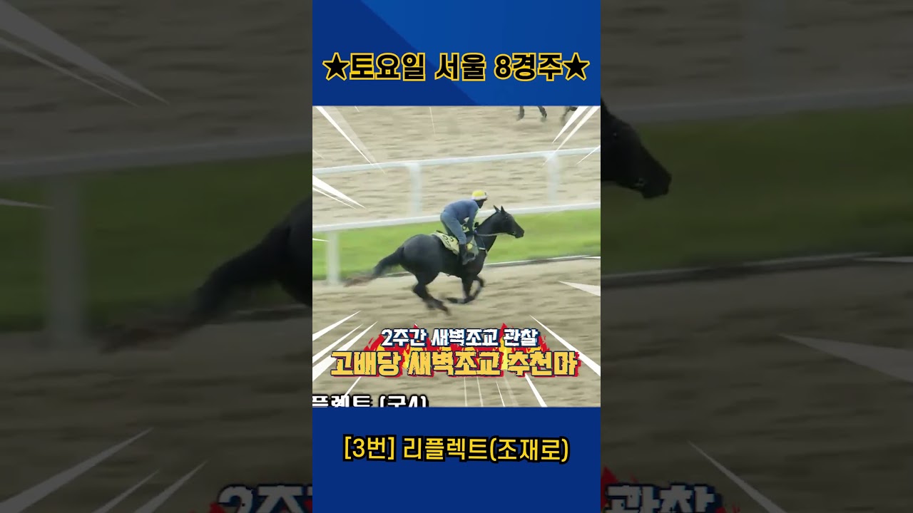 7월18일 토요일 서울 8경주!! 2주간 훈련보인 강백호의 새벽조교 쏘스마!!