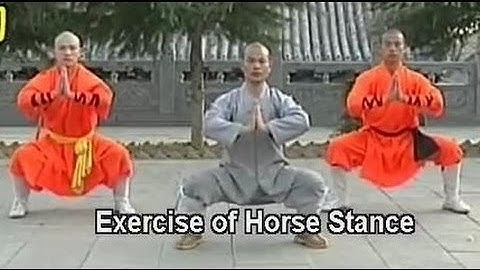 Shaolin Kung Fu basic moves
