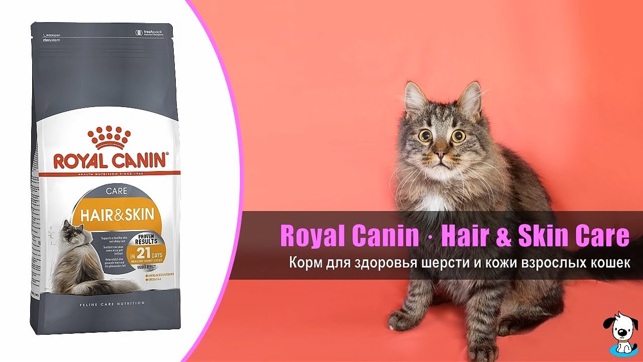 корм роял канин для кошек для шерсти. Perfect fit жидкий корм индейкой. корм мнямс skin & coat для кошек, для кожи и шерсти, с лососем. мнямс хрустящие подушечки для кошек с говядиной "выведение шерсти" 60 г. пурина проплан для кастрированных.