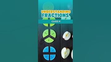 Understanding Fractions - Class 4 Activity