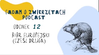 Gadam o Zwierzętach Podcast - Odcinek 12 - Bóbr europejski (część 2)