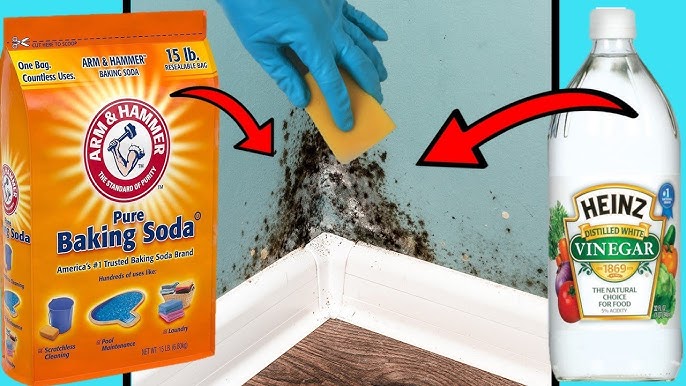 How to Remove Hard Water Stains - Brite and Clean Product Review 