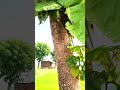 #viral #ख़बर1इंडिया #train #vlog