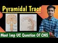 The pyramidal or corticospinal tractcns  physiology in hindi  by ashish agrawal