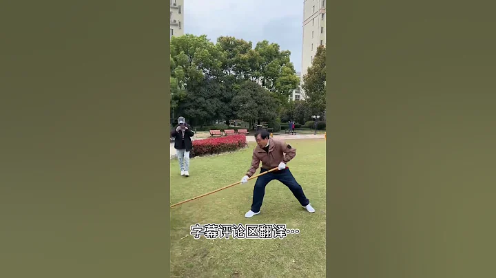 练习蛇枪法 快 狠 准 #马保国 #接化发 #武术 #高手 #中国功夫 #kungfu #funny #搞笑 - 天天要闻