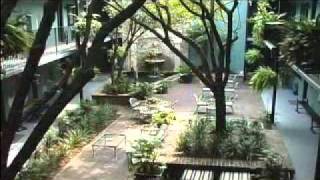 Indigo Inn - Downtown Charleston | Best places to stay in Charleston