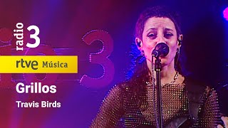 Video thumbnail of "Travis Birds - "Grillos” | Conciertos de Radio 3 (2023)"