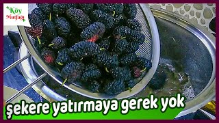 Şifa Kaynağı Karaduttan Reçel Tarifi✅Şekere Yatırmadan En Pratik Şekilde Karadut Reçeli Yapımı Resimi