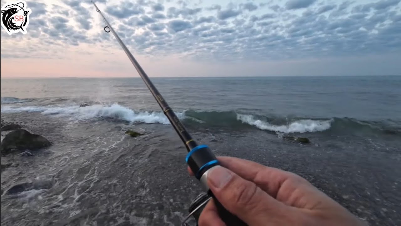 BALIK YOK DERKEN MERA'YI LEVREK BASTI !!! Levrek Avı SAMSUN !!!