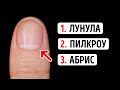 Вы меня впечатлите, если знаете названия всех этих вещей