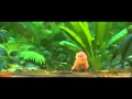 Rio 2 Clara Rio 2 Clara