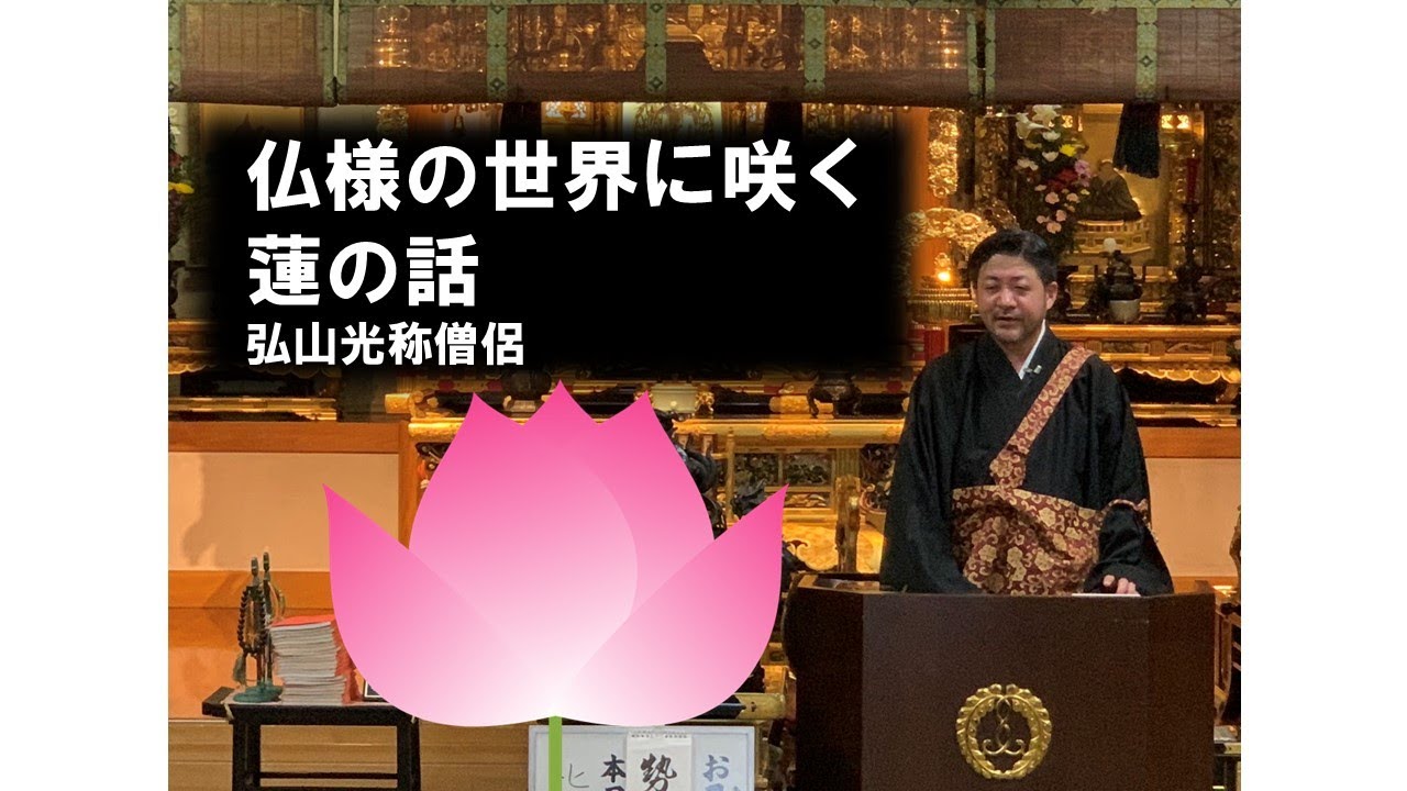 仏さまの世界に咲く蓮のはなし - 天真寺｜浄土真宗本願寺派（お西）