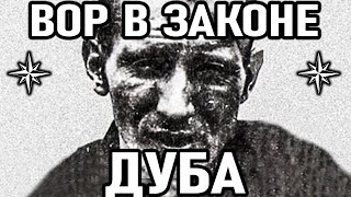 И ВАШИМ И НАШИМ! Вор в Законе Дуба (Сергей Полубинский)