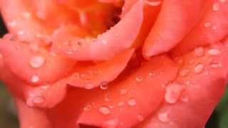 Canon 60D 18-55mm iPad Mini Retina Video Editing - Google Glass fx