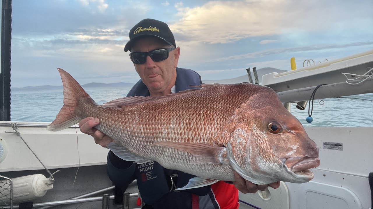 Snapper Madness. The big snapper are on the chew. - YouTube