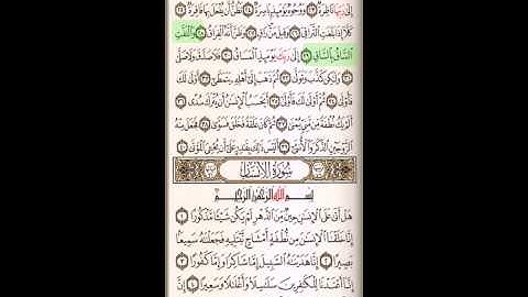 سورة القيامة بصوت الشيخ سالم بن سعد الطويل