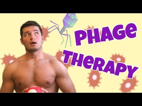 Phage Therapy vs Antibiotic Resistance