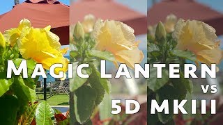 Magic Lantern vs Canon 5D Mark iii screenshot 3