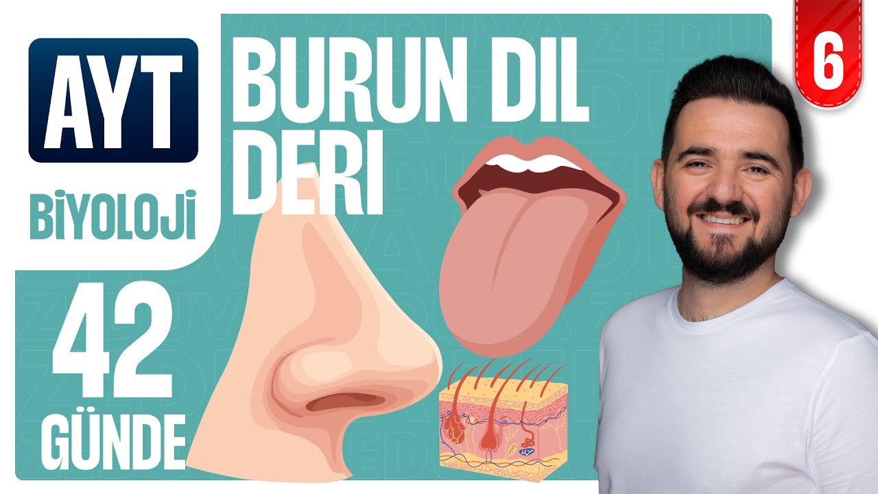 Burun Dil Deri - Duyu Organları | 42 GÜNDE AYRINTILI AYT BİYOLOJİ KAMPI 2026-2027 | 6.GÜN