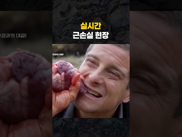 실시간 근손실 현장