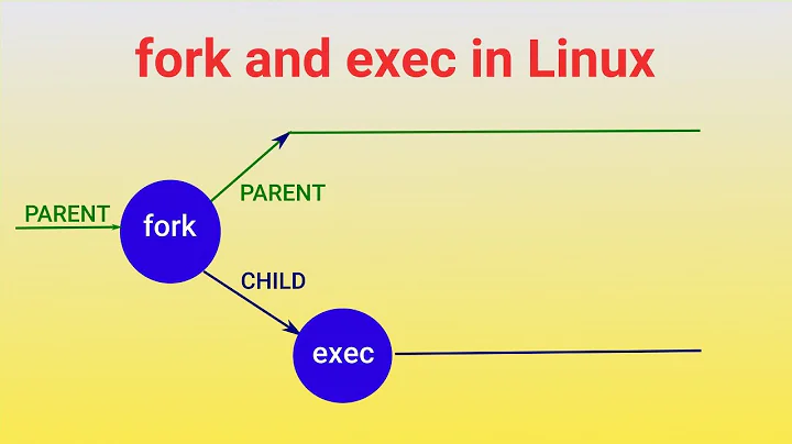 fork and exec system calls in Linux