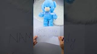 Watch This Idea Turn Into Teddy’s Gift 💙