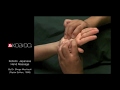 KOBIDO® Japanese Hand Massage (Partial Test, Poplar Edition, 1999)