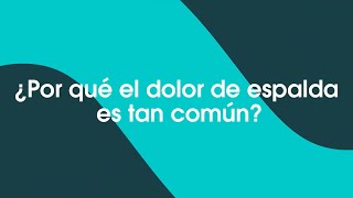 Hablemos de: dolor de espalda by Tecnológico de Monterrey | Innovación Educativa 147 views 5 months ago 2 minutes, 51 seconds