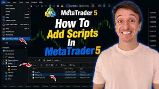 How To Add Scripts In MetaTrader 5 (MT5 2026)