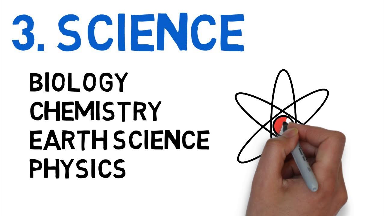 Предмет science в английской. Предмет science в английской