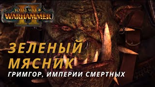 Вожак бойзов - Гримгор #2 | Смертные Империи | Легенда | Total War: Warhammer 2