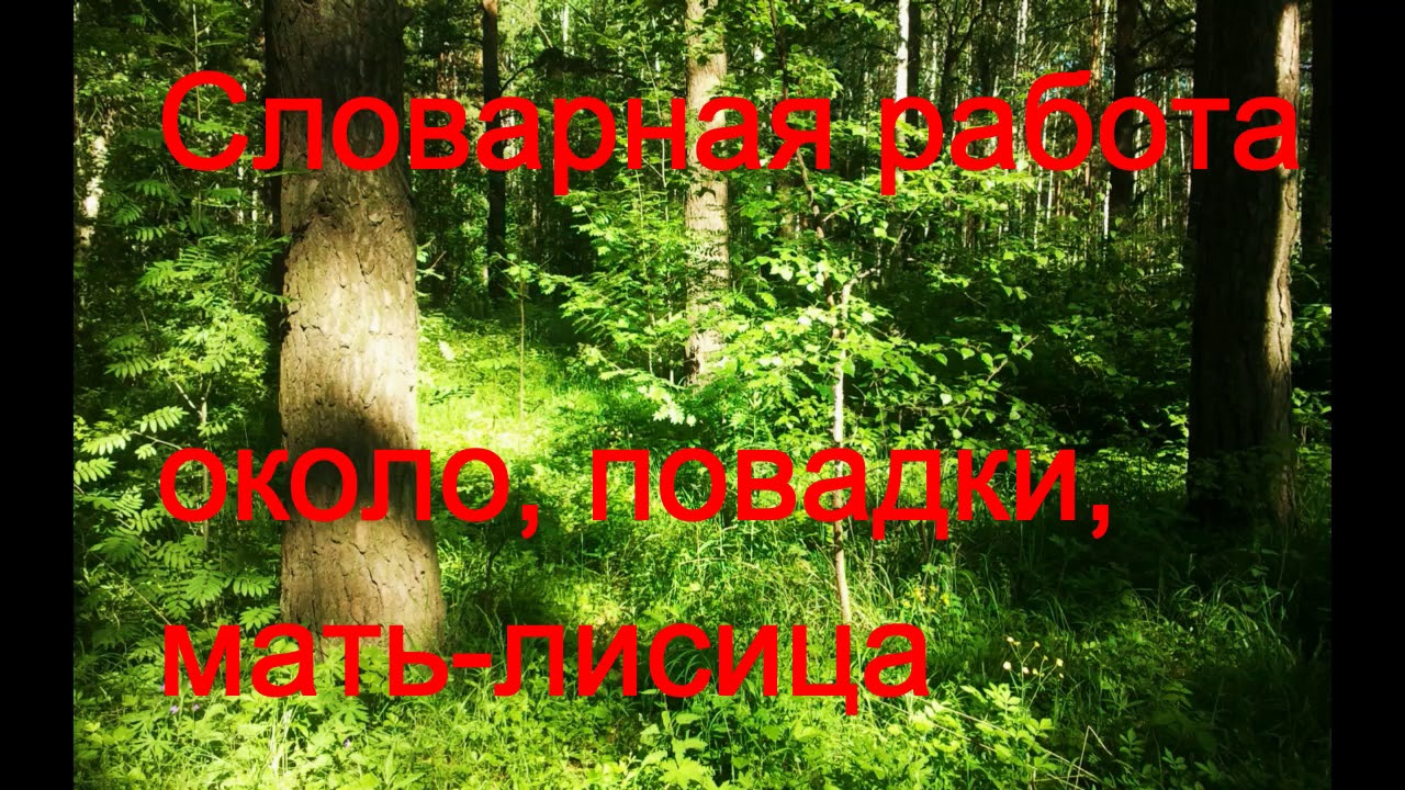 Диктант с заданием.3 класс В лесу - YouTube