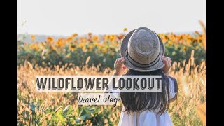WILDFLOWER LOOKOUT | SUNFLOWER FIELD | DISCOVER LANCASTER PA | AMISH COUNTRY| RONKS, PA| TRAVEL VLOG