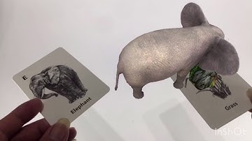 Bộ thẻ animal 4d +