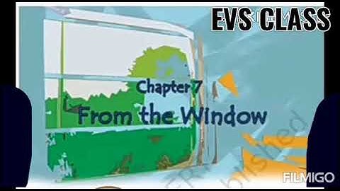 CLASS IV CHAPTER 7 From the window (explanation + discussion) part 2