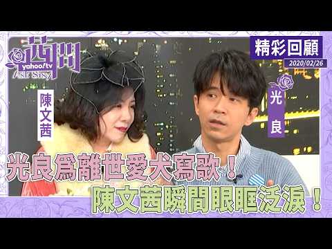 光良為離世愛犬寫歌！陳文茜瞬間眼眶泛淚！【茜問精彩回顧】