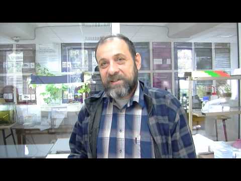 ეკოლოგიის ინსტიტუტი