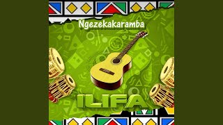 Ilifa (feat. Mhlokonywa) (Special Version)