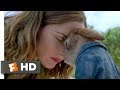 Peter rabbit 2018  forgiveness scene 1010  movieclips