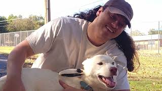 Hobby Interview Dog Walking - Enoch N.