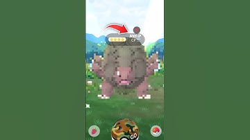 Caught 2900 Cp Hundo Pokémon #shorts #hundo #catch #pokémon #mighty #ultracreation #gotcha