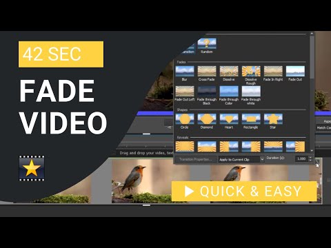 VideoPad Tutorial: How to Fade Video in And out In VideoPad