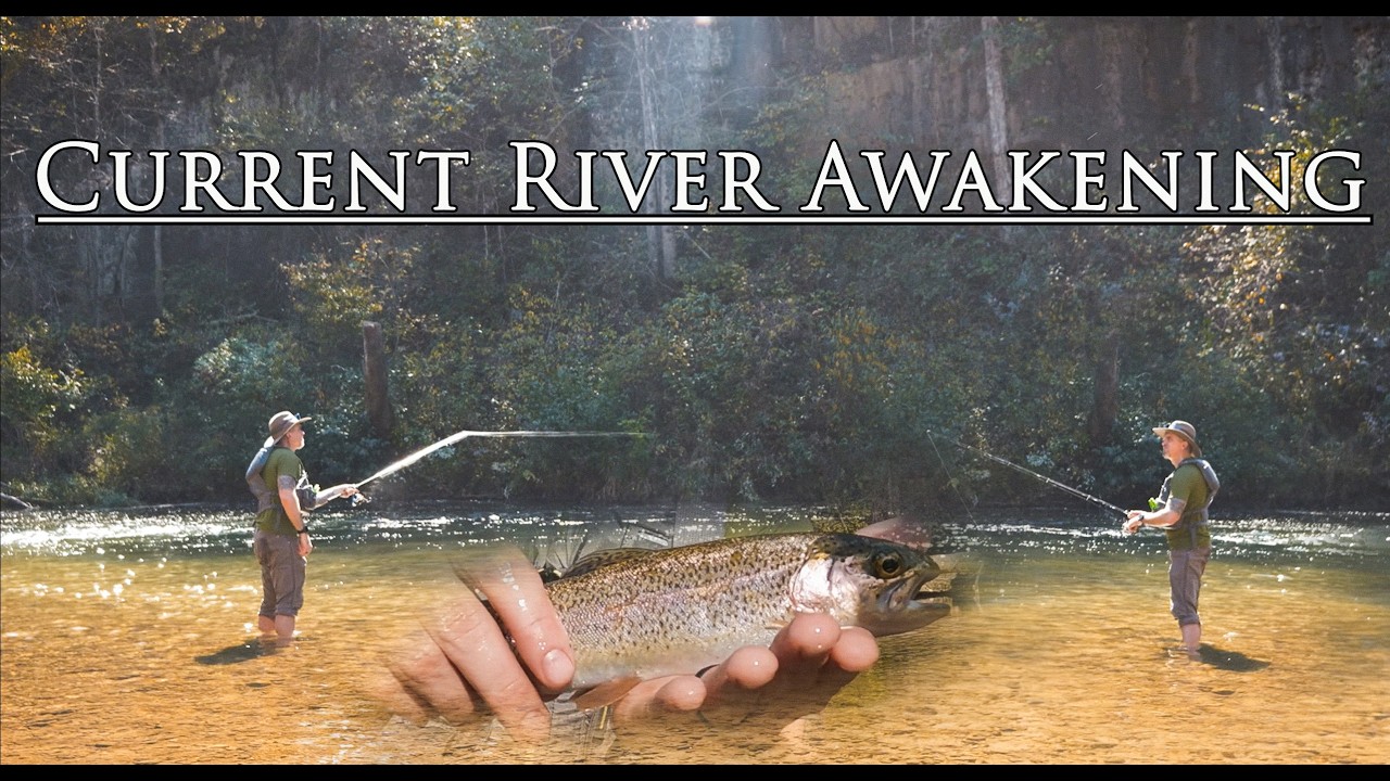 Otters, Fishing, Canoeing, Homemade Beef Stew, and Pizza