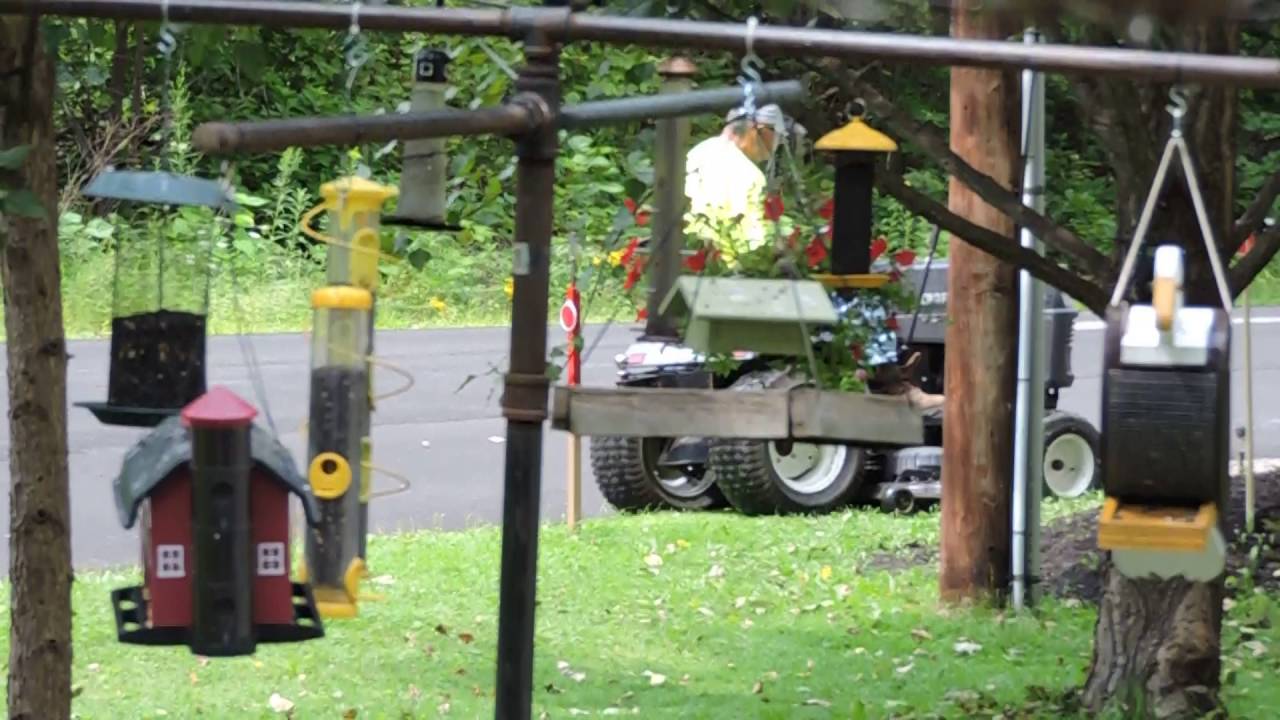 Test mow with the Craftsman GT tractor!