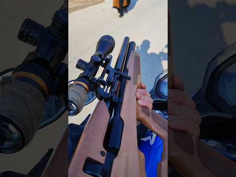 ولك الصيد وعز الصيد اقوى لقطات الصيد البري بلهوائيه الصيد البر كشتات غليص قميري الحمام العراق 