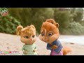 Mishy Stara Tomezz Martommy Chipmunks Chipettes