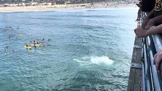 Santa Monica Lifeguard Training - Part I
