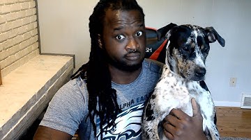 FIRST 30 DAYS AS A FRONT END DEVELOPER!!