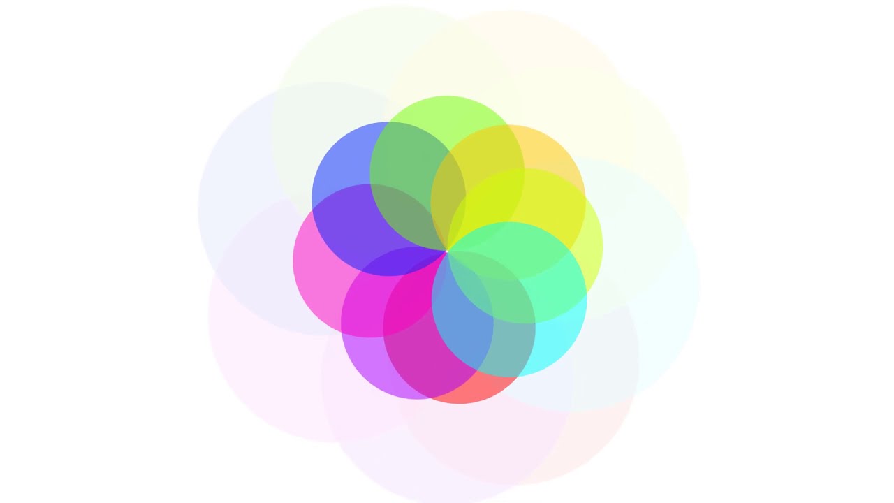 Colorful Circle  Logo Animation